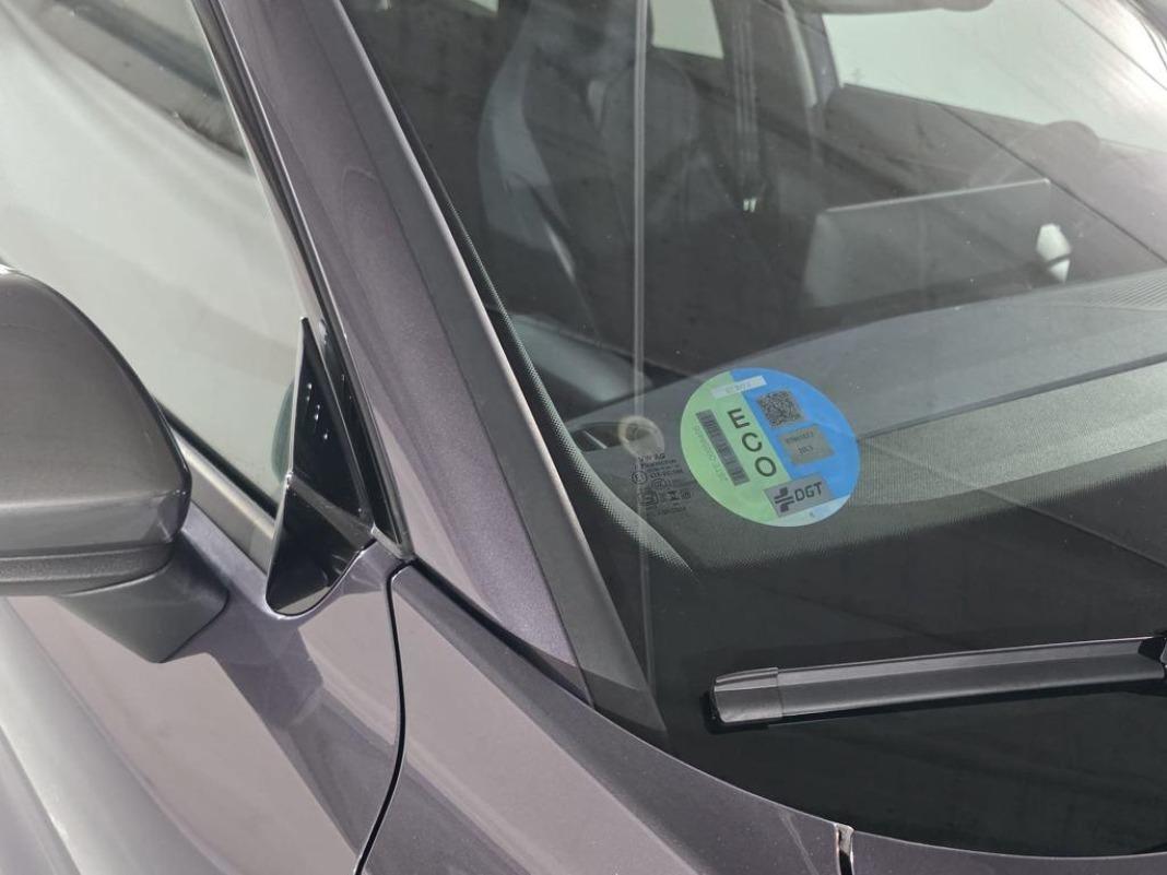 CUPRA Terramar 1.5 eTSI DSG 110 kW (150 CV)