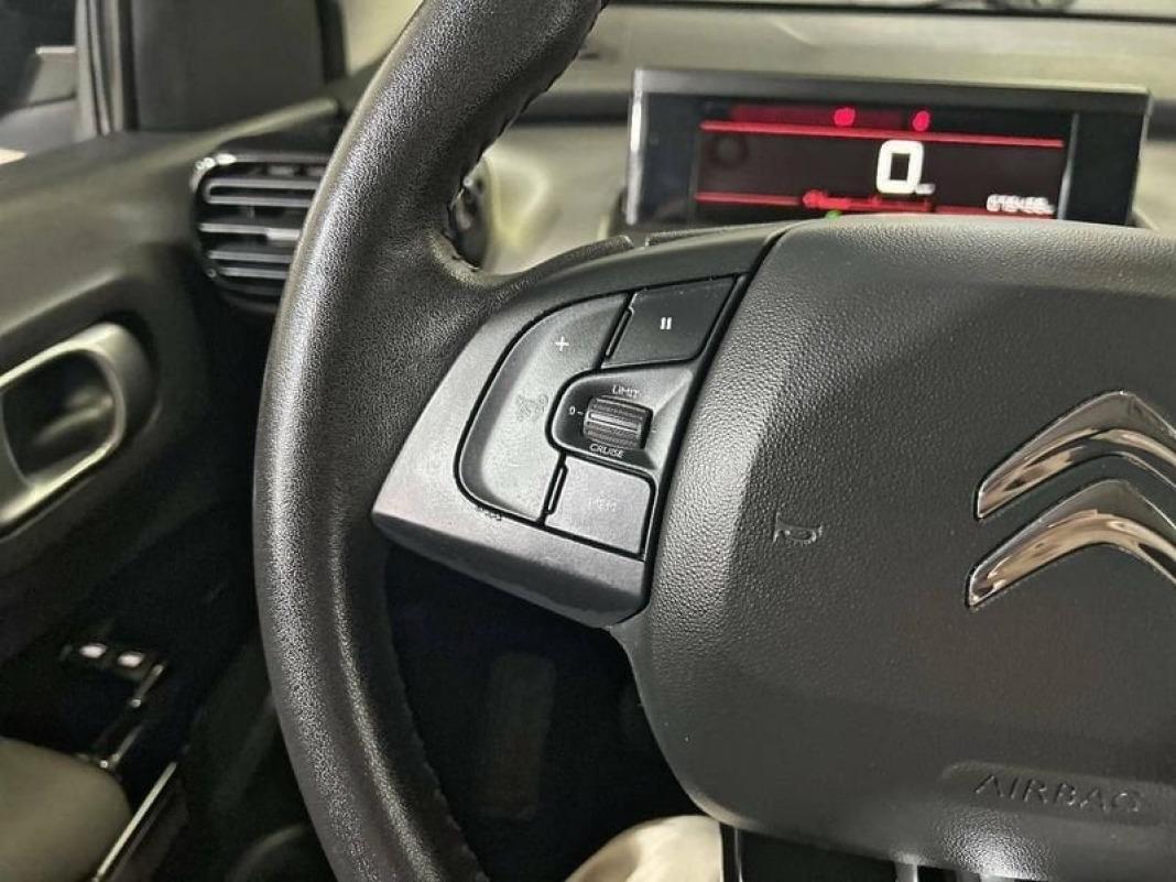 Citroën C4 Cactus PureTech 81KW (110CV) S&S Feel