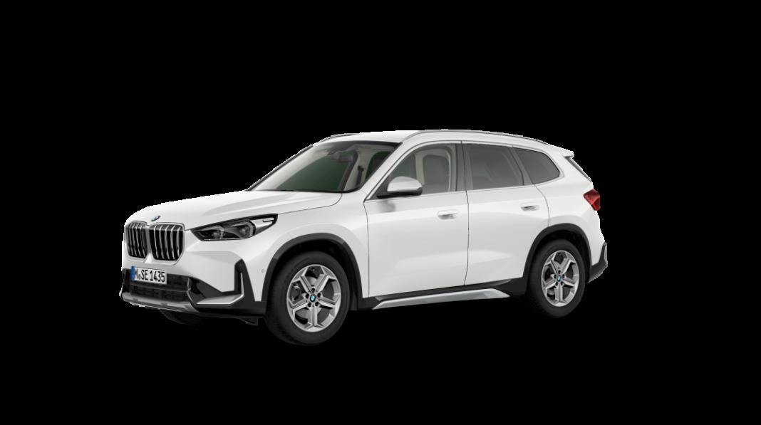 BMW X1 xDrive20d 120 kW (163 CV)