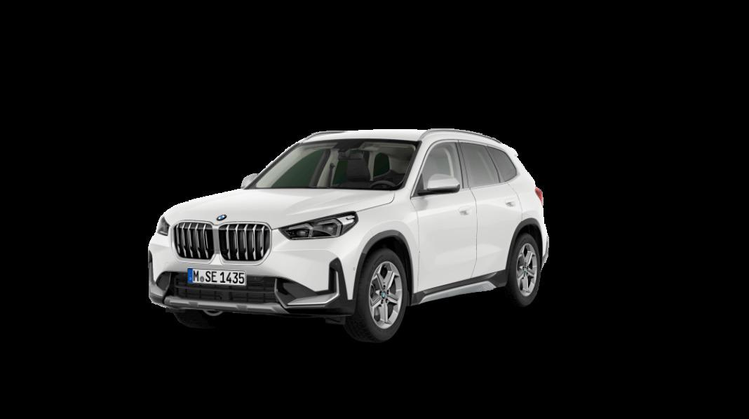 BMW X1 xDrive20d 120 kW (163 CV)