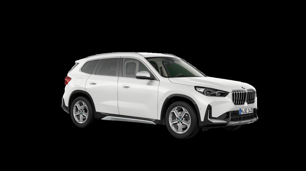 BMW X1 xDrive20d 120 kW (163 CV)