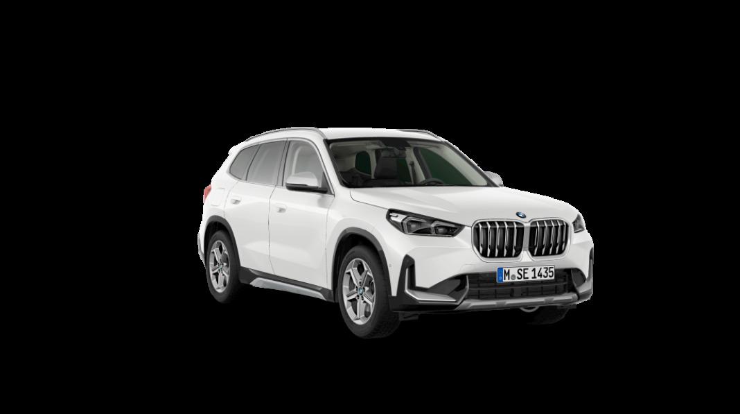 BMW X1 xDrive20d 120 kW (163 CV)