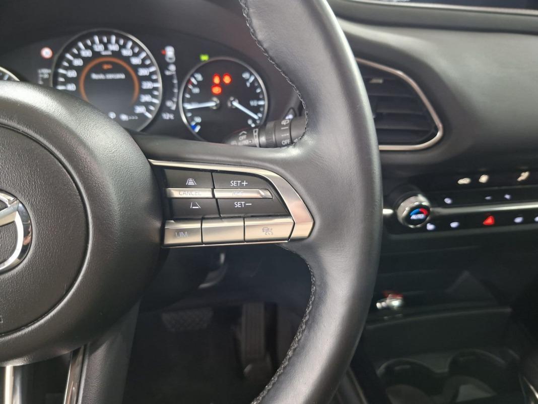 Mazda Cx-30 e-SKYACTIV-G 2.0 110 kW 2WD AT Homura