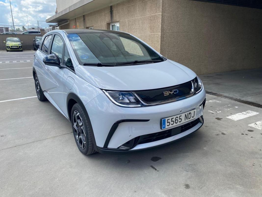BYD Dolphin Design