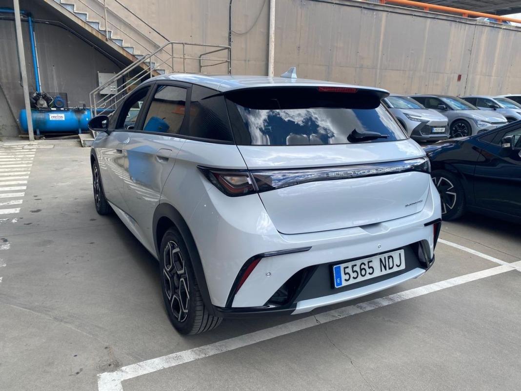 BYD Dolphin Design