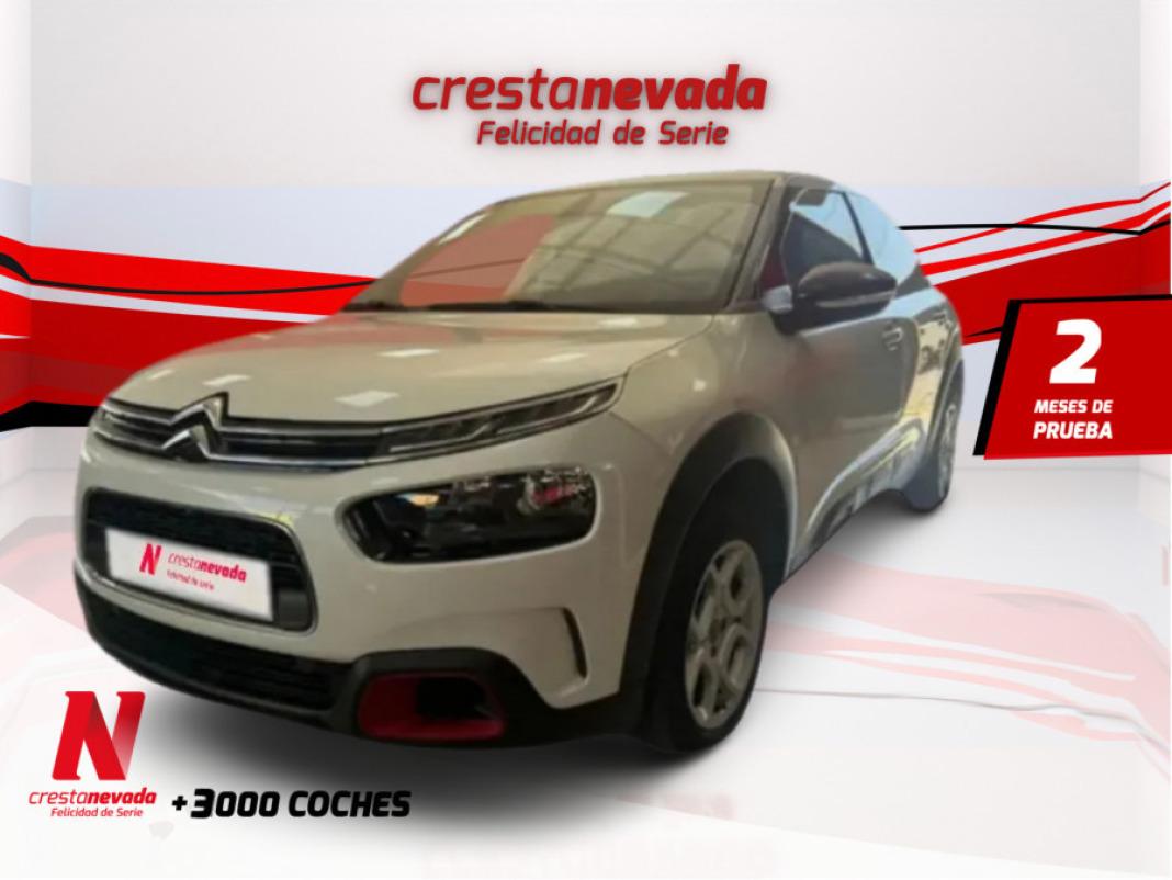 CITROEN C4 Cactus PureTech 110 SS Shine