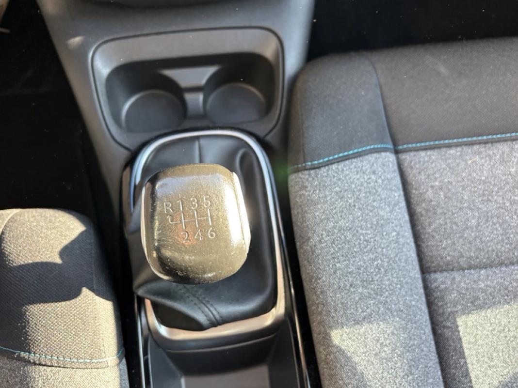 CITROEN C4 Cactus PureTech 110 SS Shine