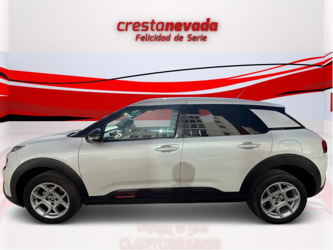 CITROEN C4 Cactus PureTech 110 SS Shine