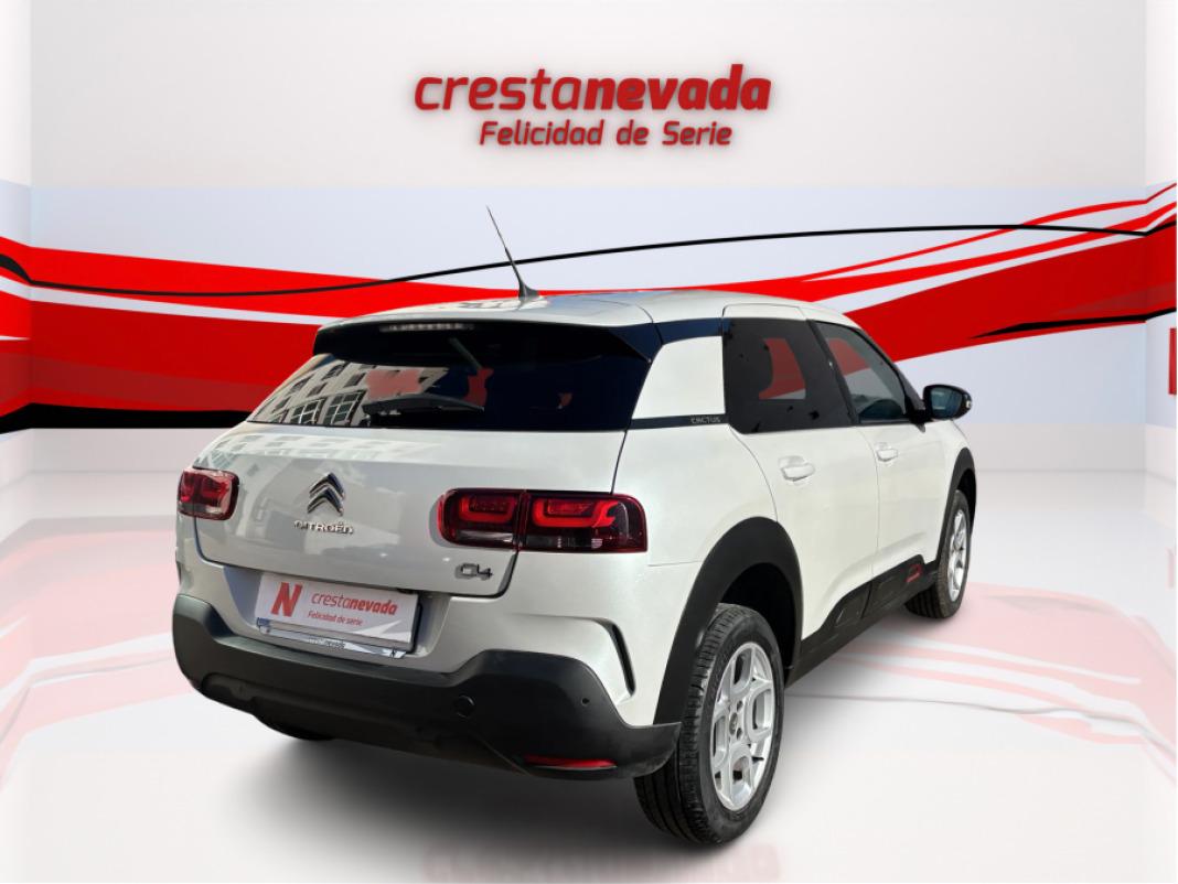 CITROEN C4 Cactus PureTech 110 SS Shine
