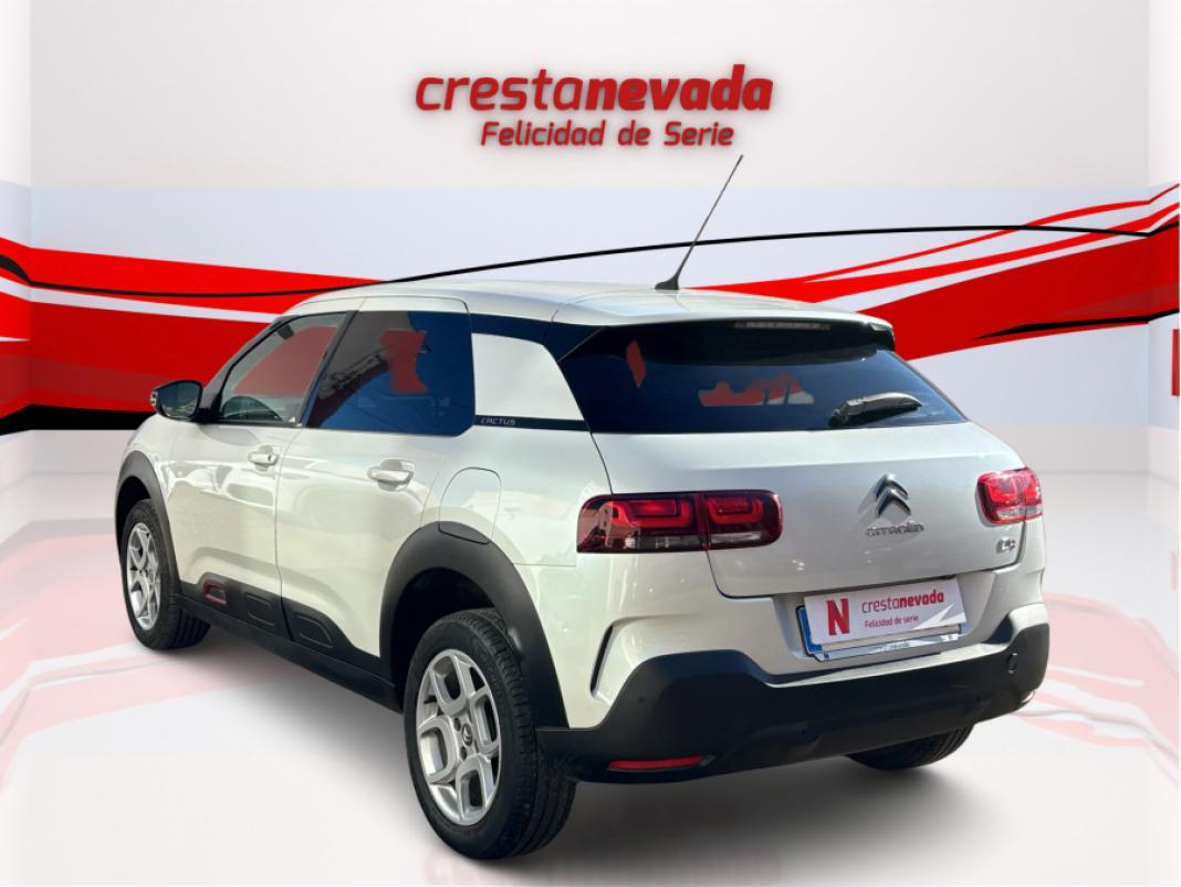 CITROEN C4 Cactus PureTech 110 SS Shine