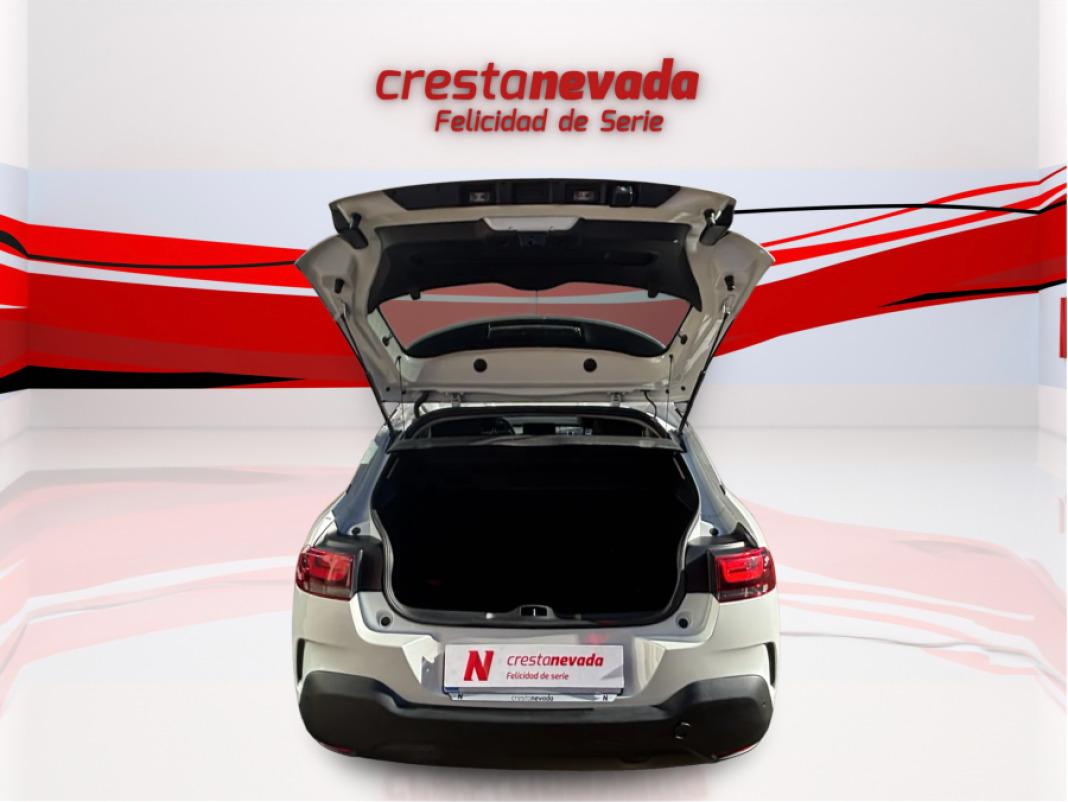 CITROEN C4 Cactus PureTech 110 SS Shine