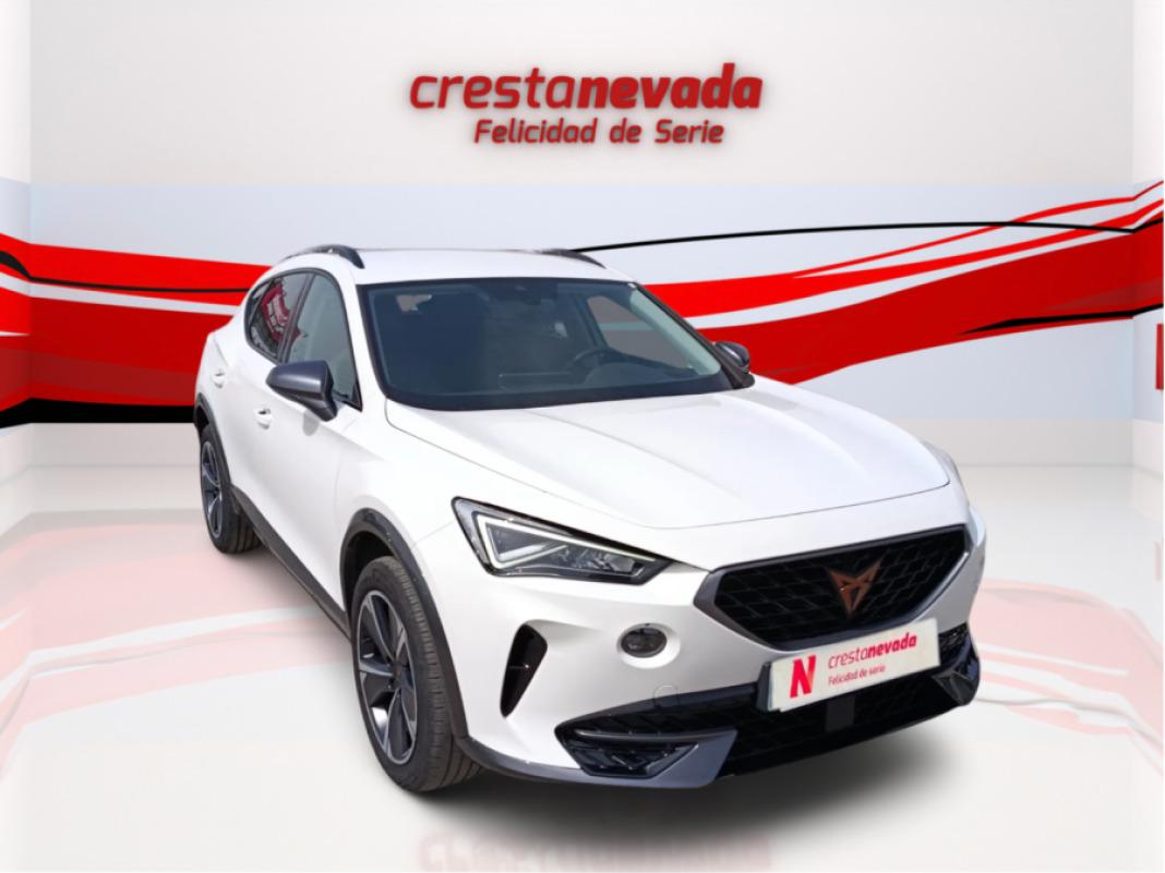 cupra Formentor 1.5 TSI 110kW 150 CV