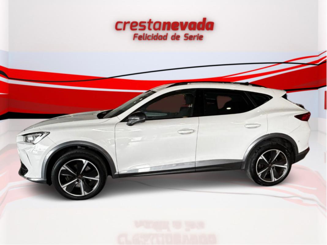 cupra Formentor 1.5 TSI 110kW 150 CV