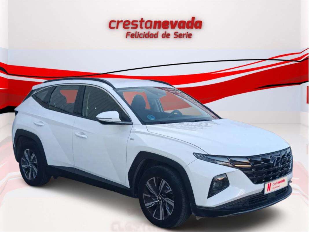 Hyundai Tucson 1.6 CRDI 100kW 136CV 48V Maxx DCT