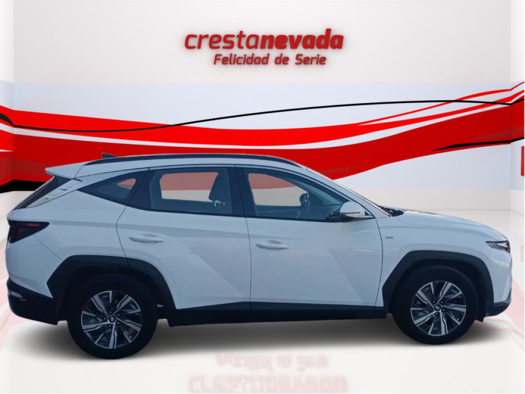 Hyundai Tucson 1.6 CRDI 100kW 136CV 48V Maxx DCT