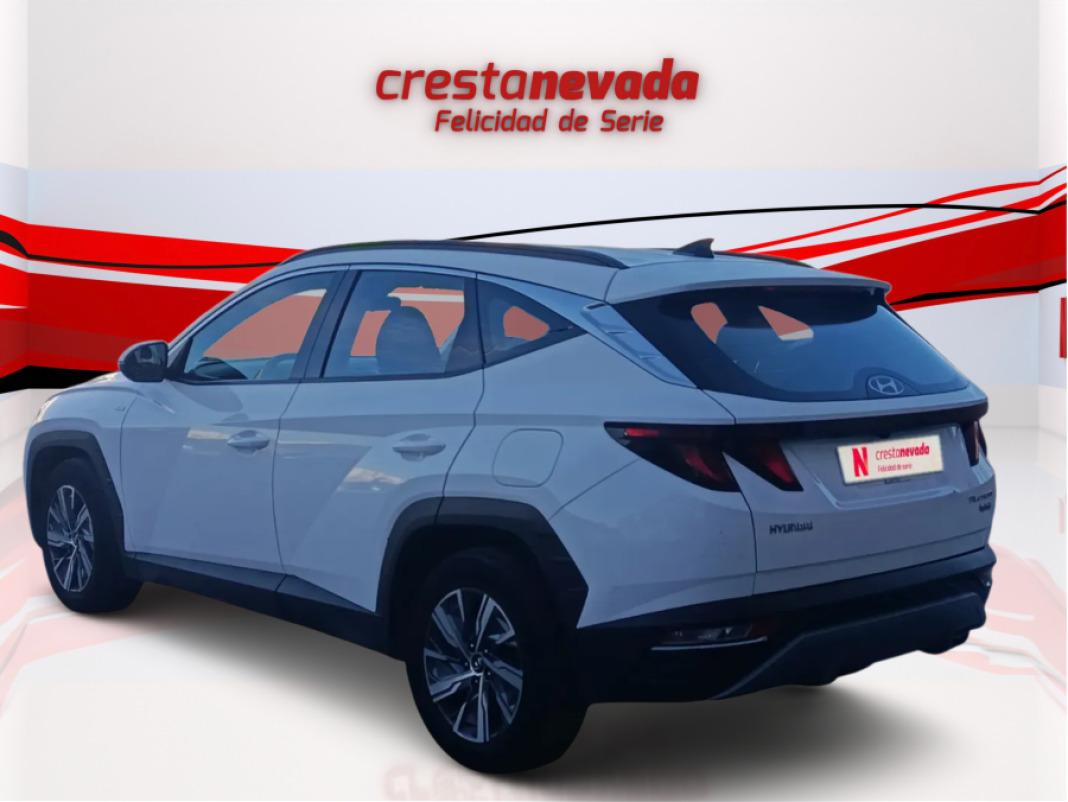Hyundai Tucson 1.6 CRDI 100kW 136CV 48V Maxx DCT