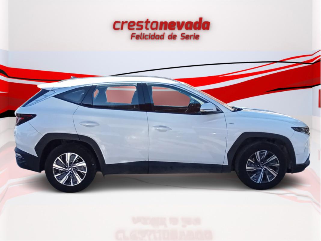 Hyundai Tucson 1.6 CRDI 100kW 136CV 48V Maxx