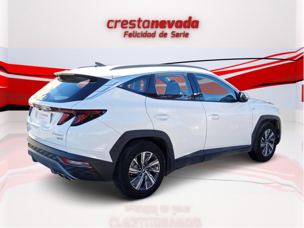 Hyundai Tucson 1.6 CRDI 100kW 136CV 48V Maxx