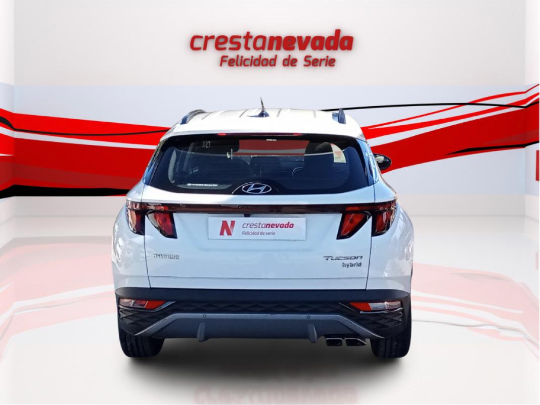 Hyundai Tucson 1.6 CRDI 100kW 136CV 48V Maxx