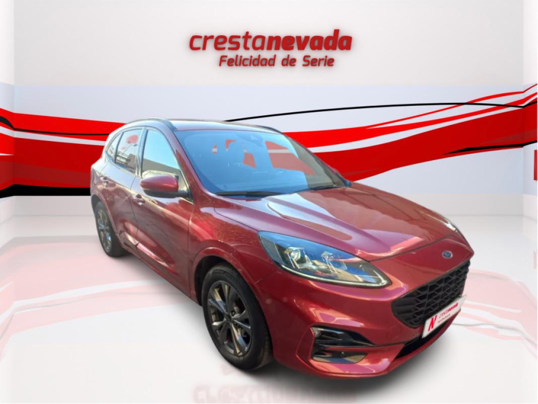Ford Kuga STLine 1.5 EcoBoost 110kW 150CV