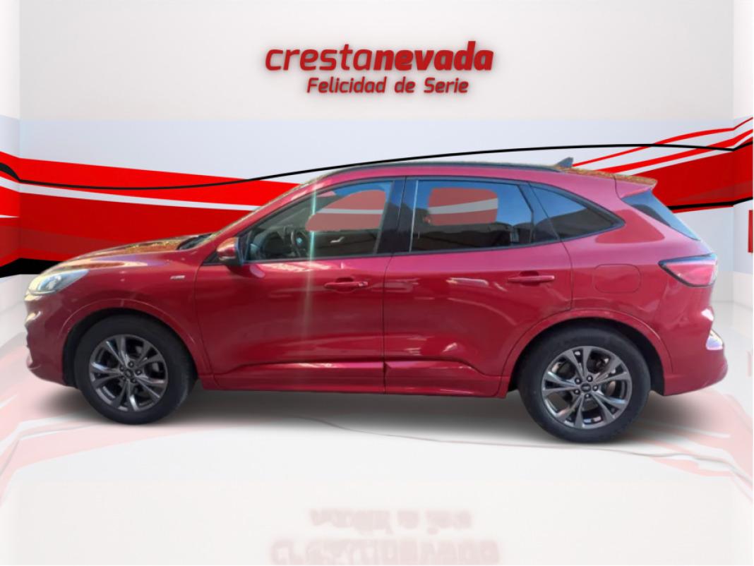 Ford Kuga STLine 1.5 EcoBoost 110kW 150CV