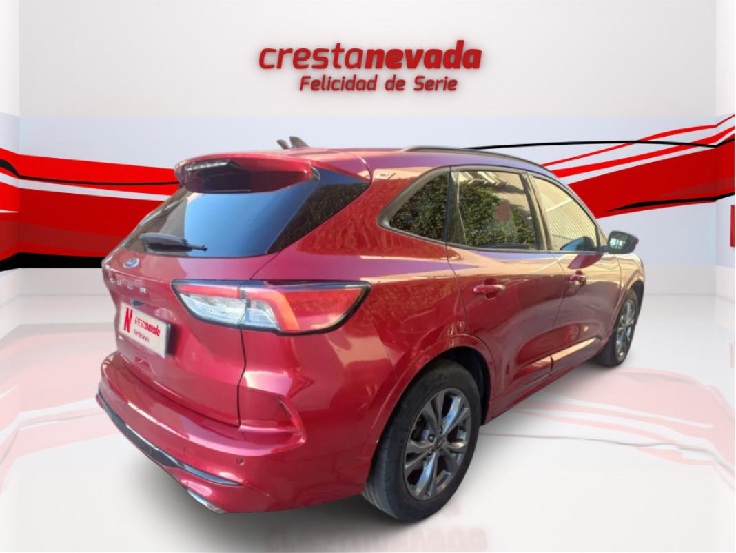 Ford Kuga STLine 1.5 EcoBoost 110kW 150CV