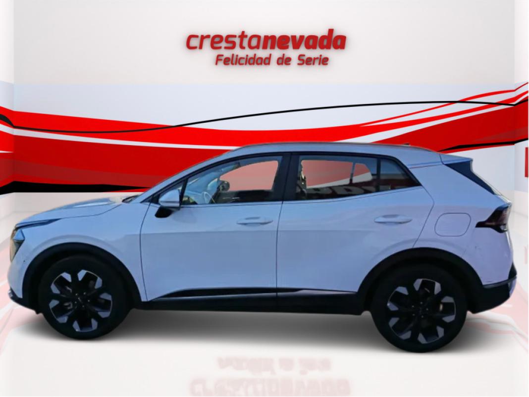 Kia Sportage 1.6 TGDi PHEV 198kW 265CV Drive 4x4