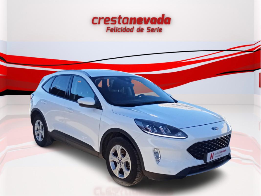 Ford Kuga Trend 1.5 EcoBoost 88kW 120CV
