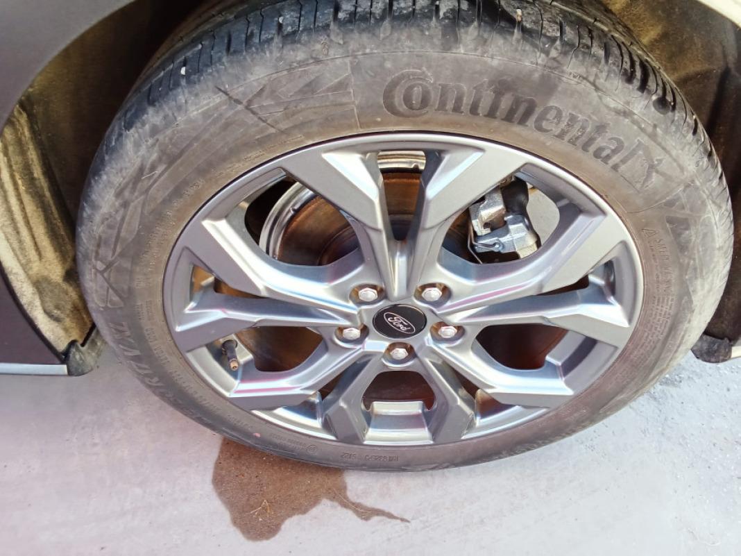 Ford Focus 1.0 Ecoboost MHEV 114kW STLine Auto