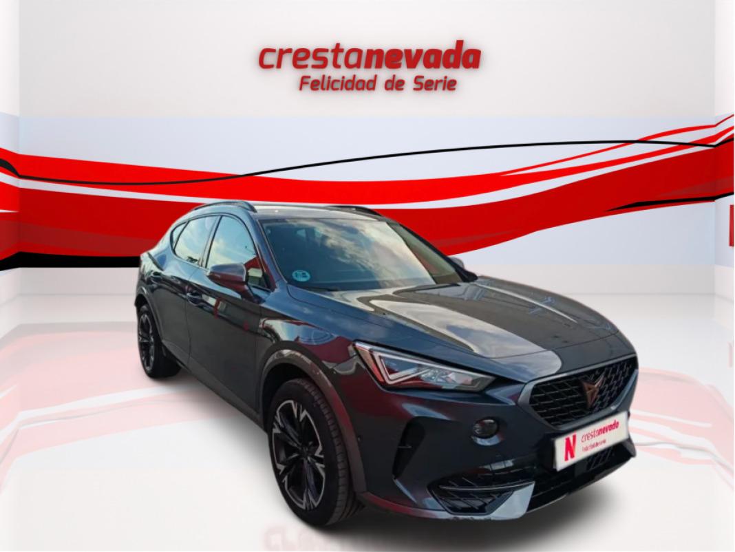 cupra Formentor 2.0 TDI 110kW 150 CV