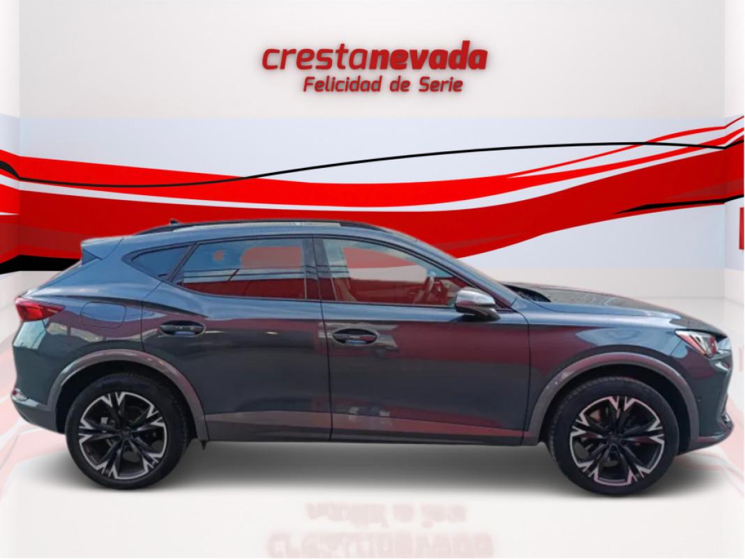 cupra Formentor 2.0 TDI 110kW 150 CV