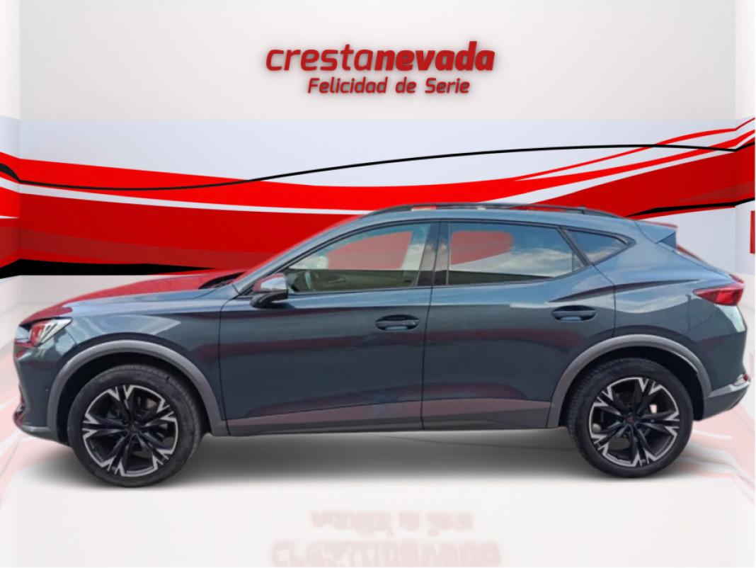 cupra Formentor 2.0 TDI 110kW 150 CV