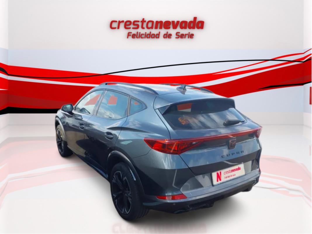 cupra Formentor 2.0 TDI 110kW 150 CV