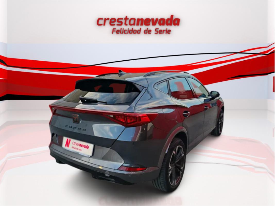 cupra Formentor 2.0 TDI 110kW 150 CV