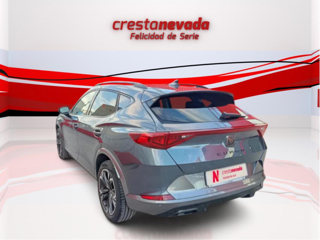 cupra Formentor 2.0 TDI 110kW 150 CV