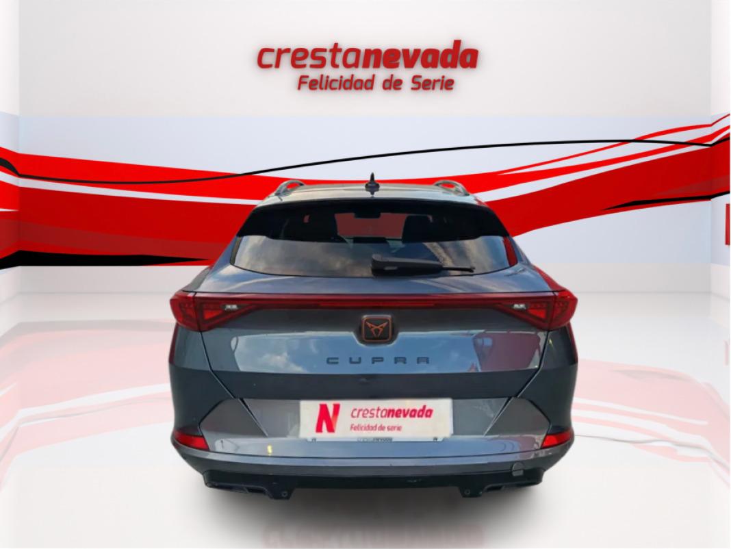 cupra Formentor 2.0 TDI 110kW 150 CV