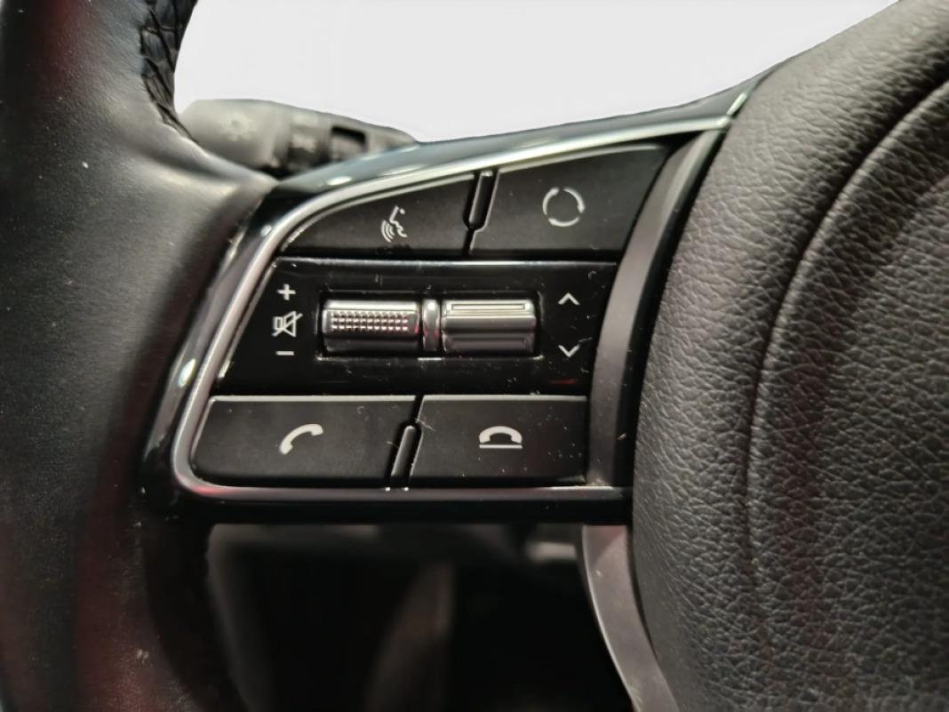 Kia Sportage 1.6 MHEV Business DCT 100kW 136CV 4X2