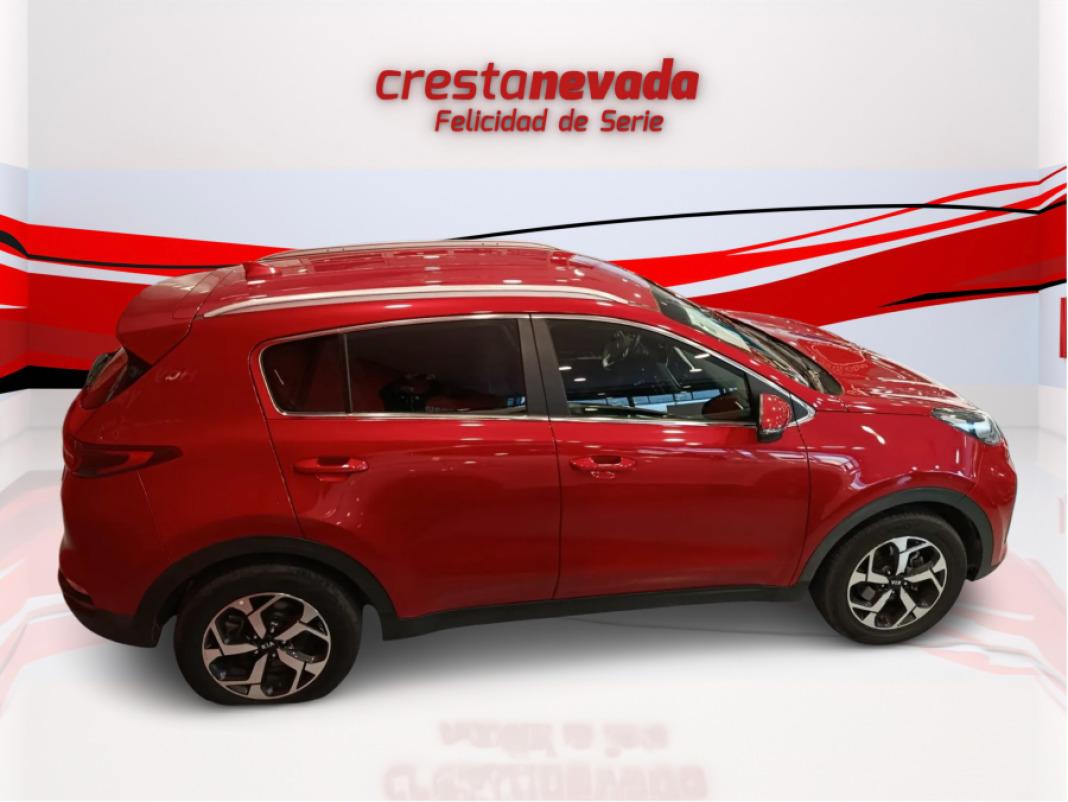 Kia Sportage 1.6 MHEV Business DCT 100kW 136CV 4X2