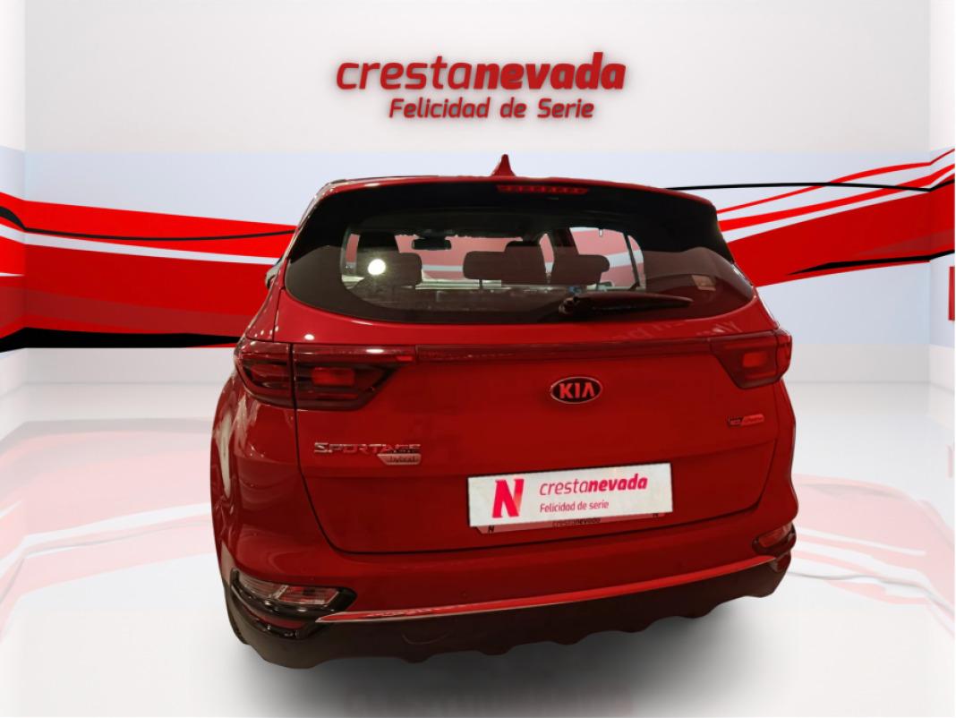 Kia Sportage 1.6 MHEV Business DCT 100kW 136CV 4X2