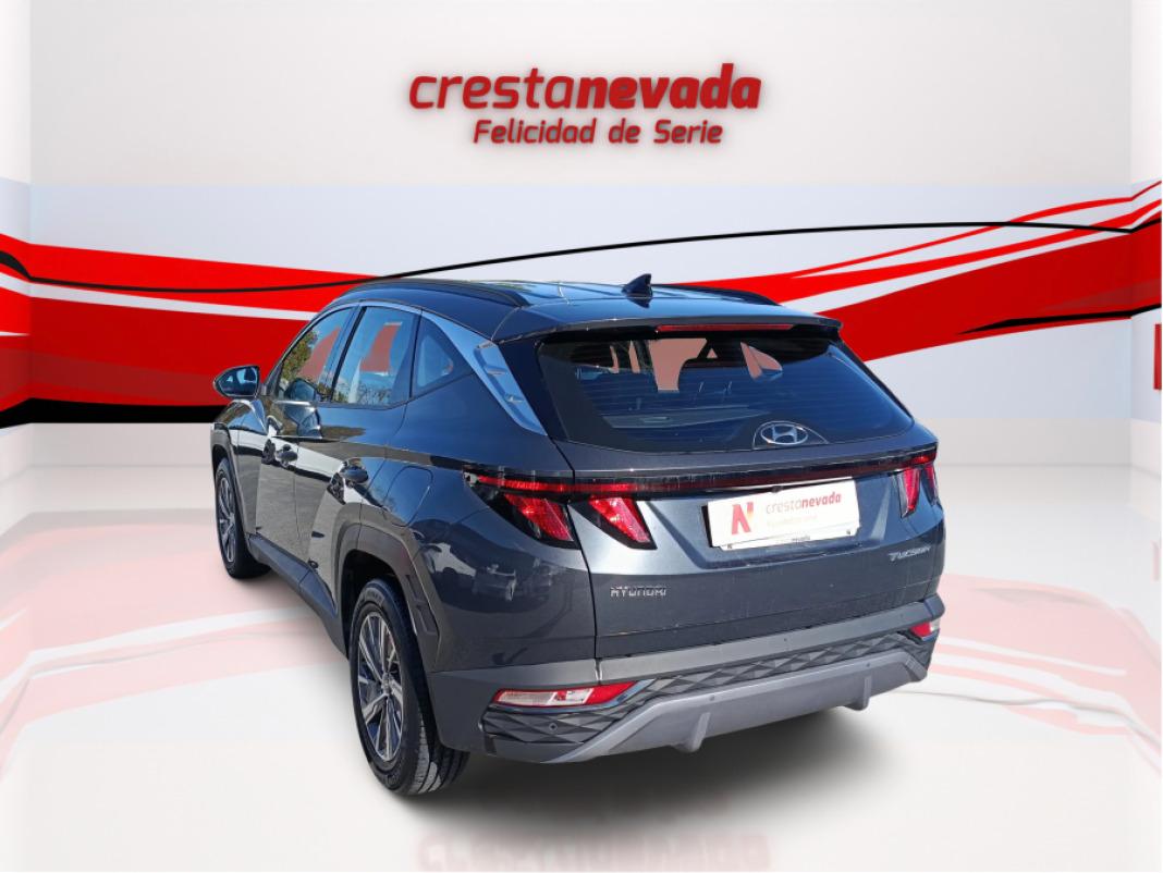 Hyundai Tucson 1.6 TGDI 110kW 150CV 48V Maxx