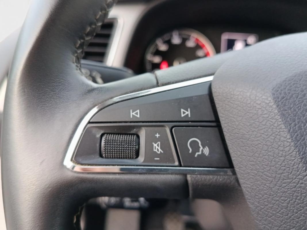 SEAT León 1.5 TGI 96kW 130CV SS Style Visio Ed