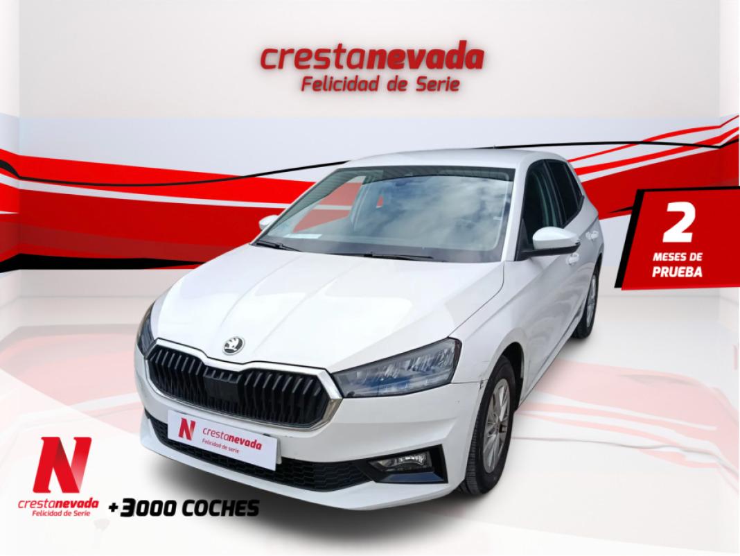 Skoda Fabia 1.0 MPI 59KW 80CV Selection