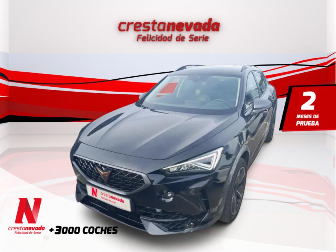 cupra Formentor 1.5 TSI 150 CV DSG