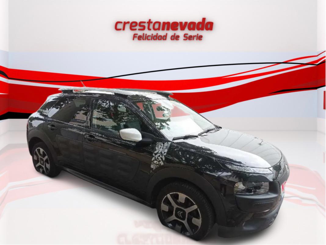 CITROEN C4 Cactus PureTech 110cv SS Rip Curl