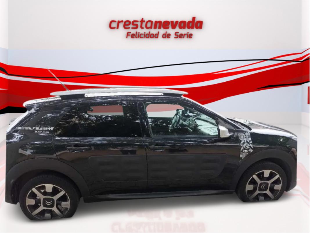 CITROEN C4 Cactus PureTech 110cv SS Rip Curl