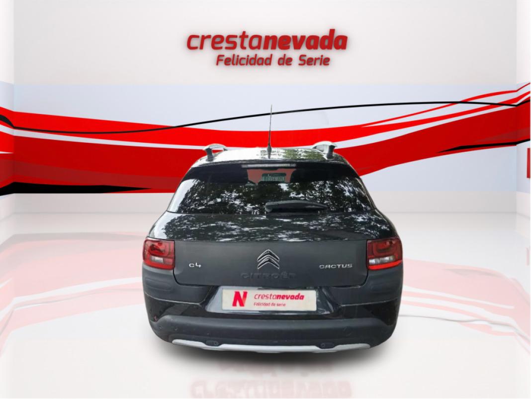 CITROEN C4 Cactus PureTech 110cv SS Rip Curl