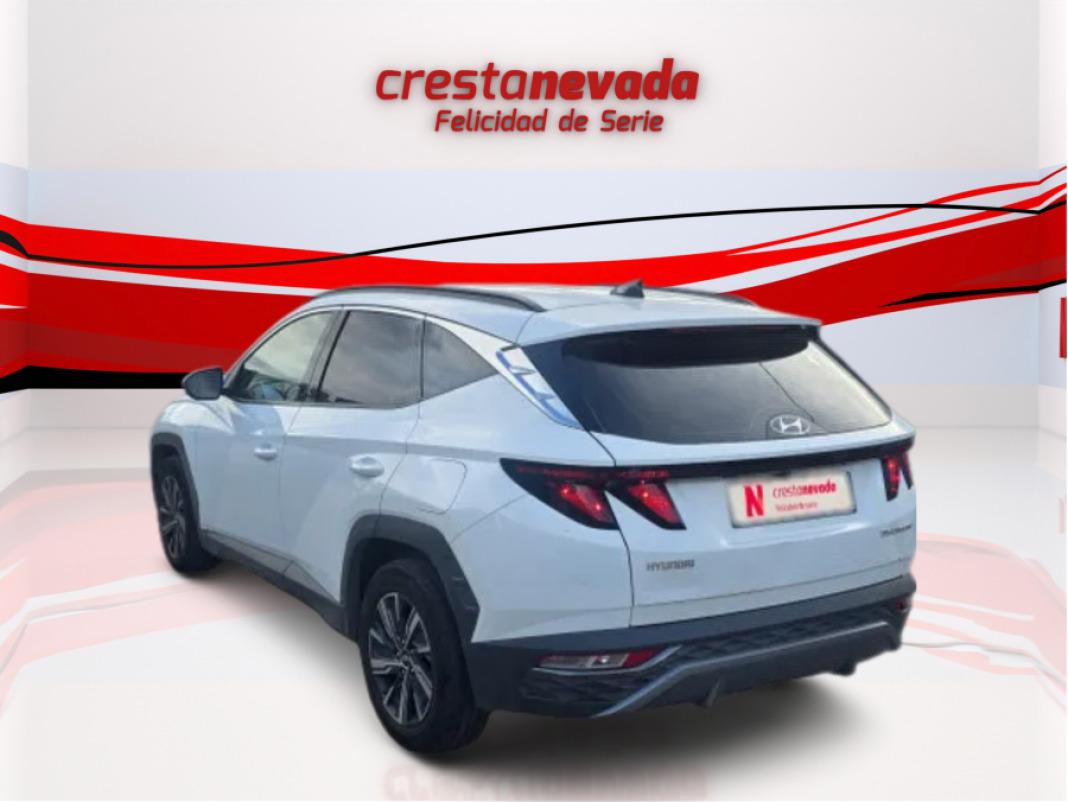 Hyundai Tucson 1.6 TGDI 110kW 150CV Maxx