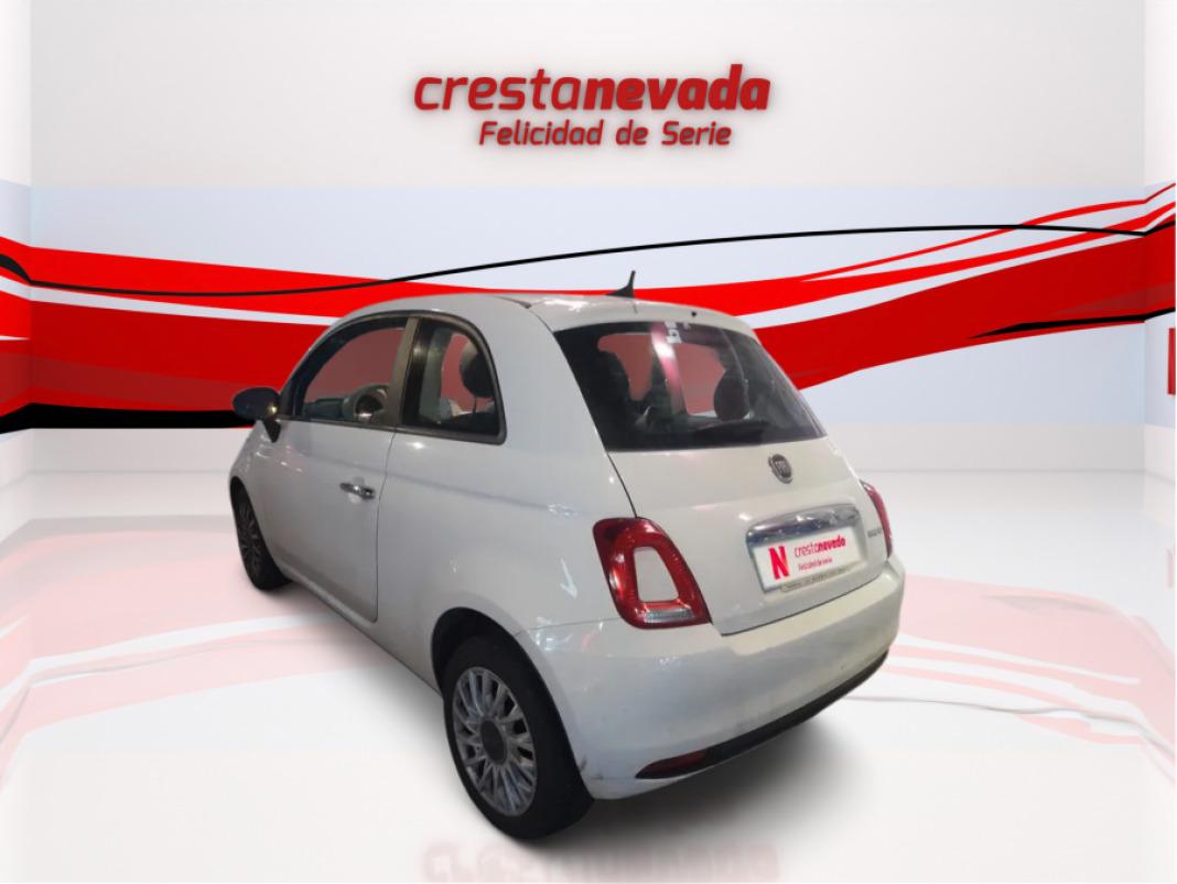 Fiat 500 Cult 1.0 Hybrid 51KW 70 CV
