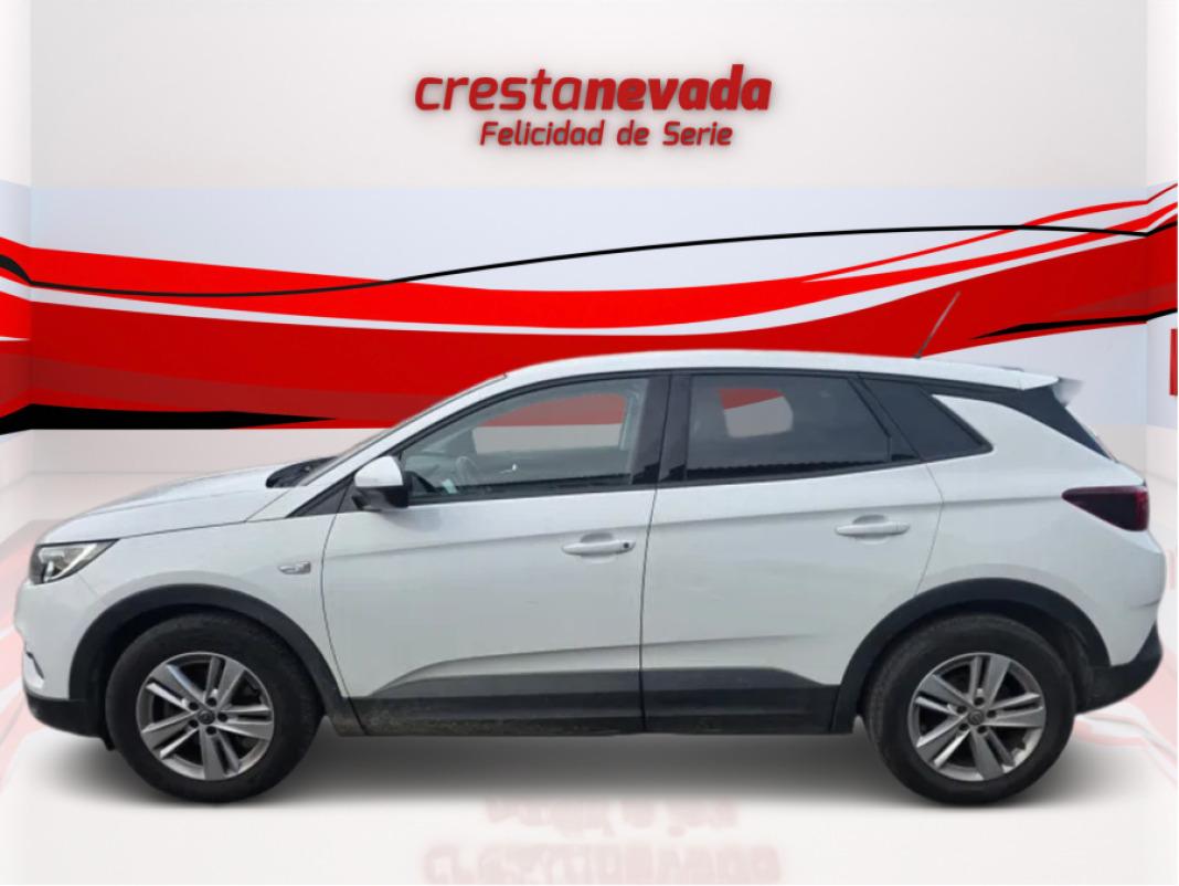 Opel Grandland X 1.2 Turbo Design Line 120 Aniversario