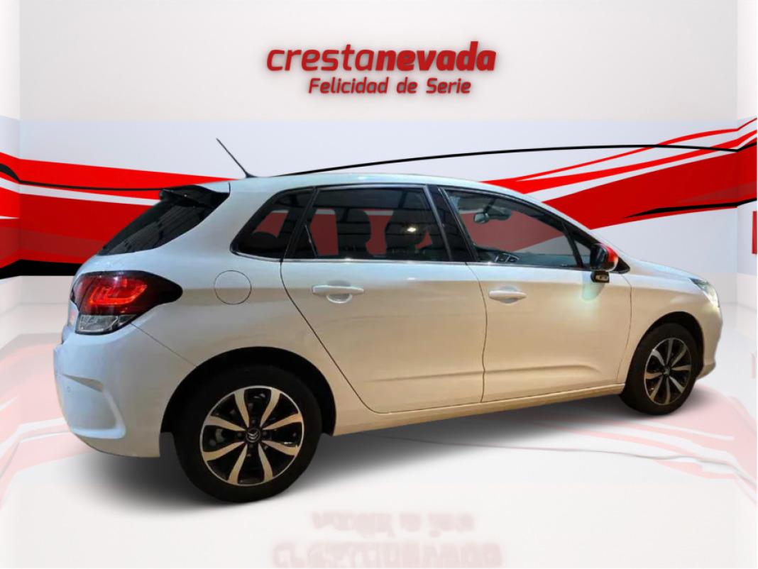 CITROEN C4 PureTech 81KW 110CV Tonic